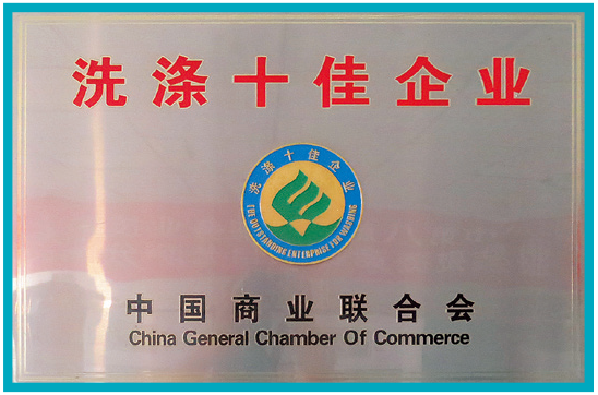 2018年度 中国商业联合会颁发：洗涤十佳企业